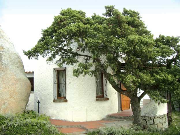 Villetta Cenni Santa Teresa Gallura Exterior photo